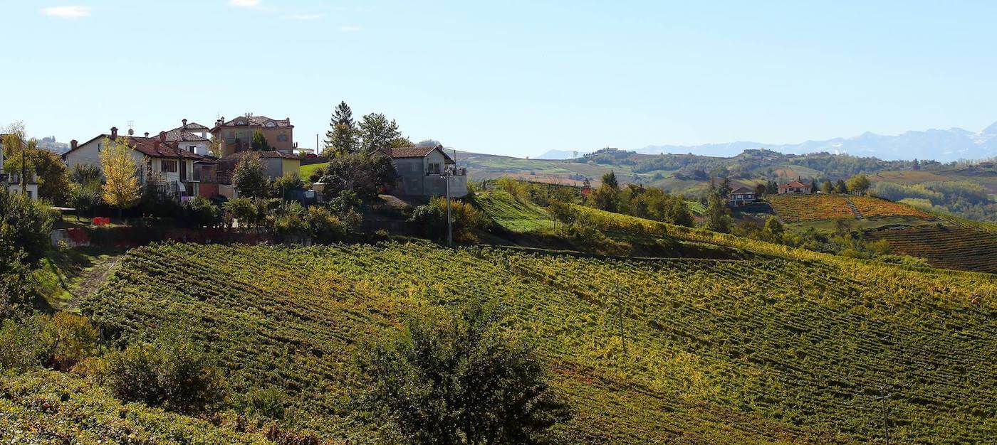 Azienda Massolino