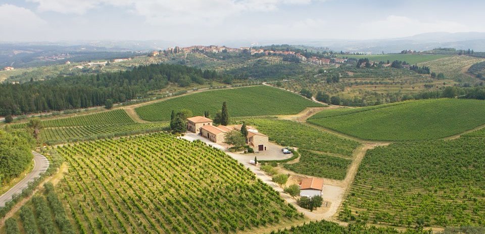 Azienda Agricola Casa Emma