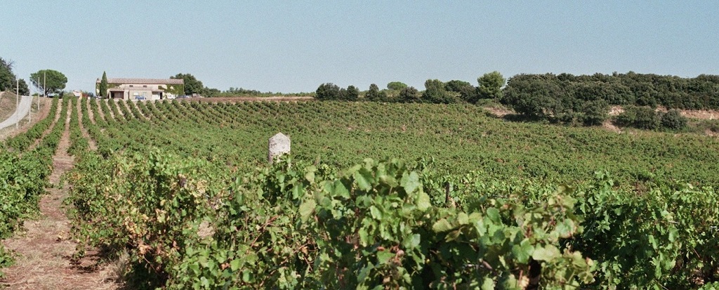 Château Le Devoy Martine