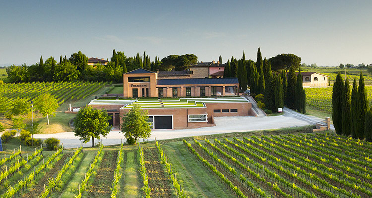 Azienda Agricola Poliziano