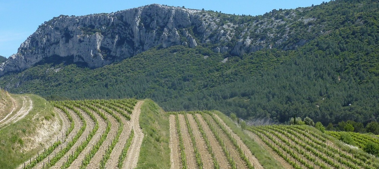 Château Val d'Arenc