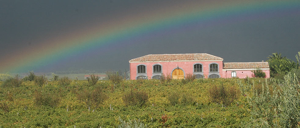 Tenuta Delle Terre Nere