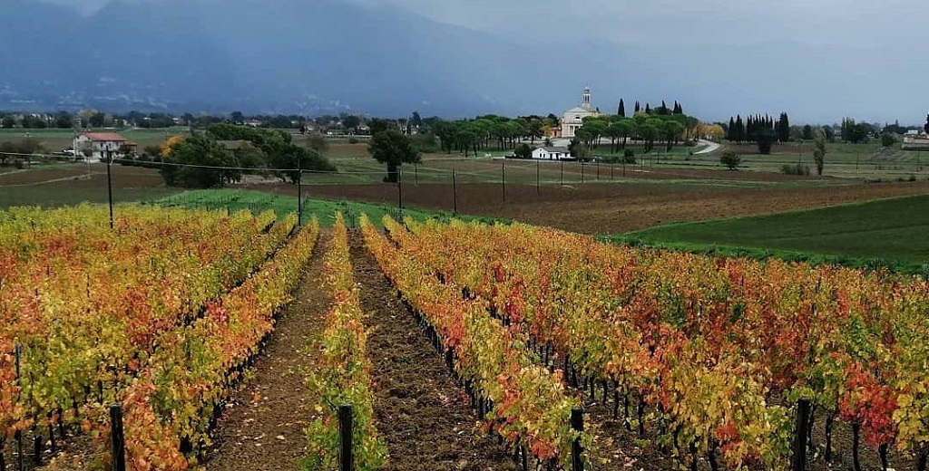 Azienda Agricola Bocale