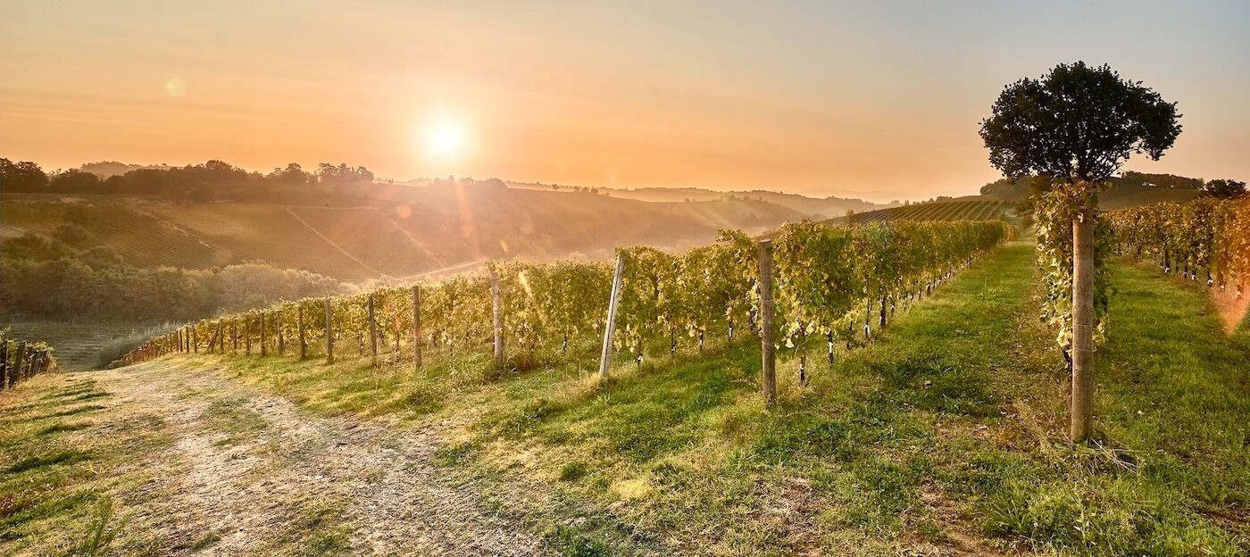 Antica Casa Vinicola Scarpa