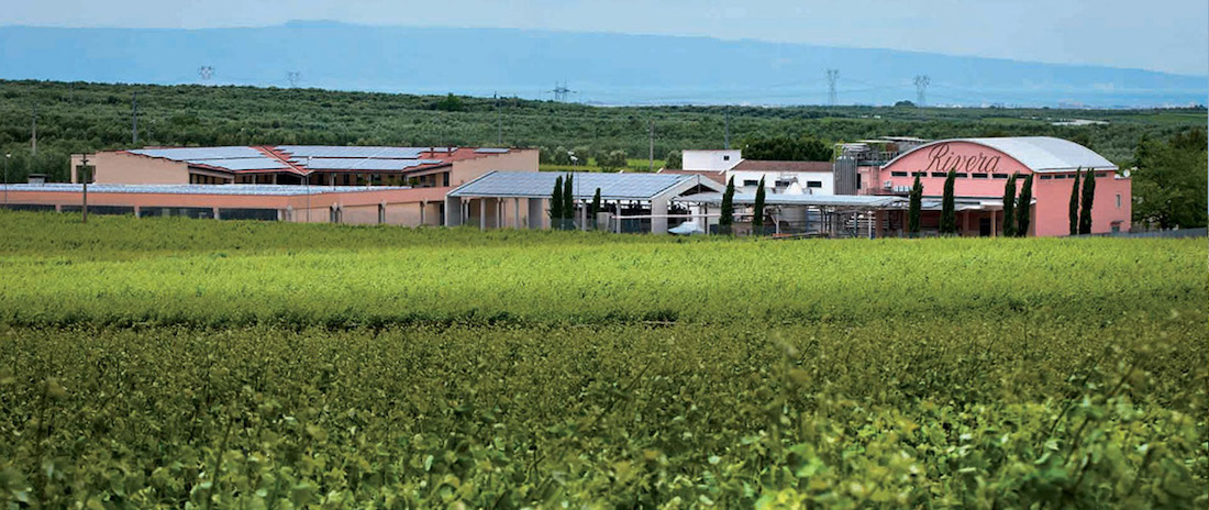 Azienda Vinicola Rivera