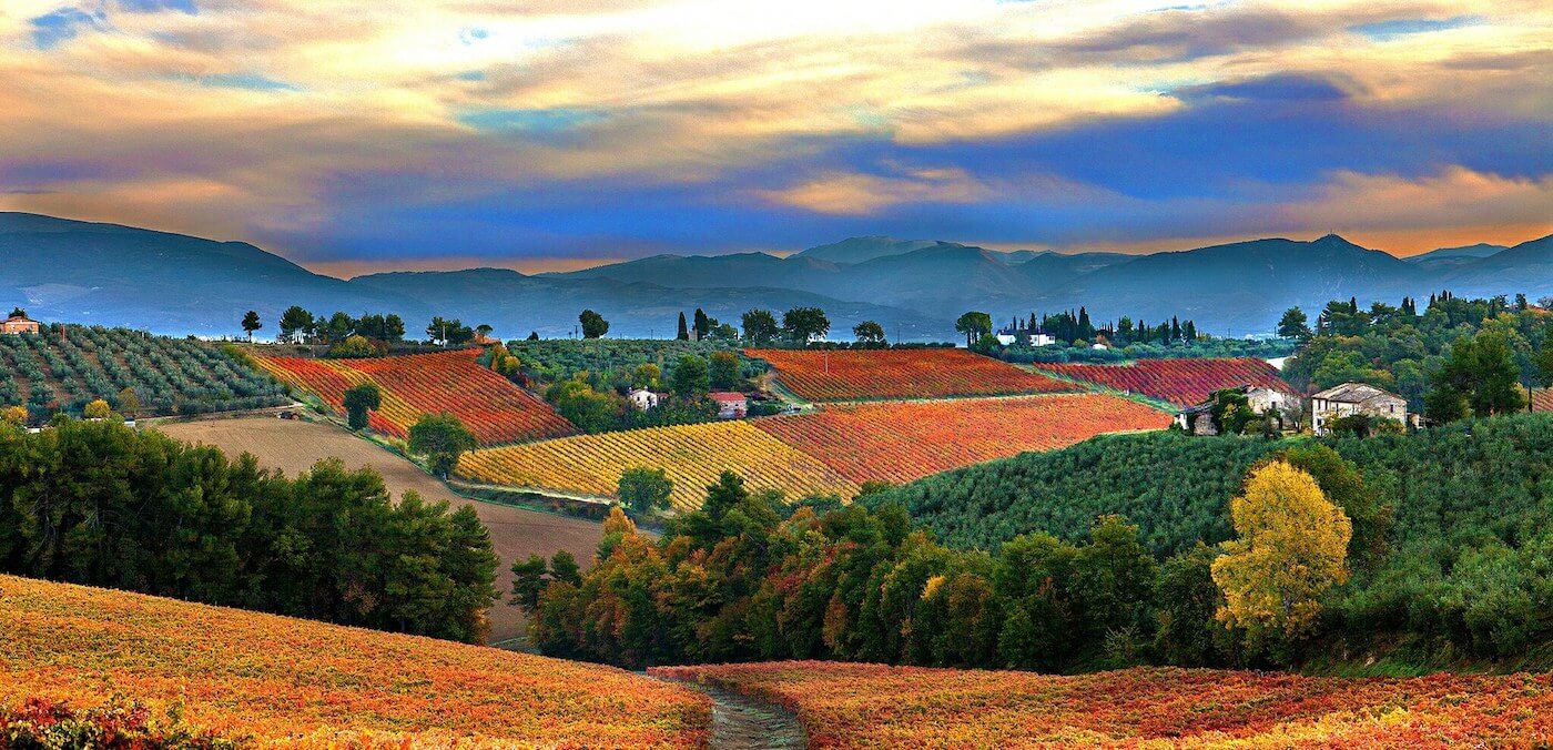 Cantina Villa Mongalli