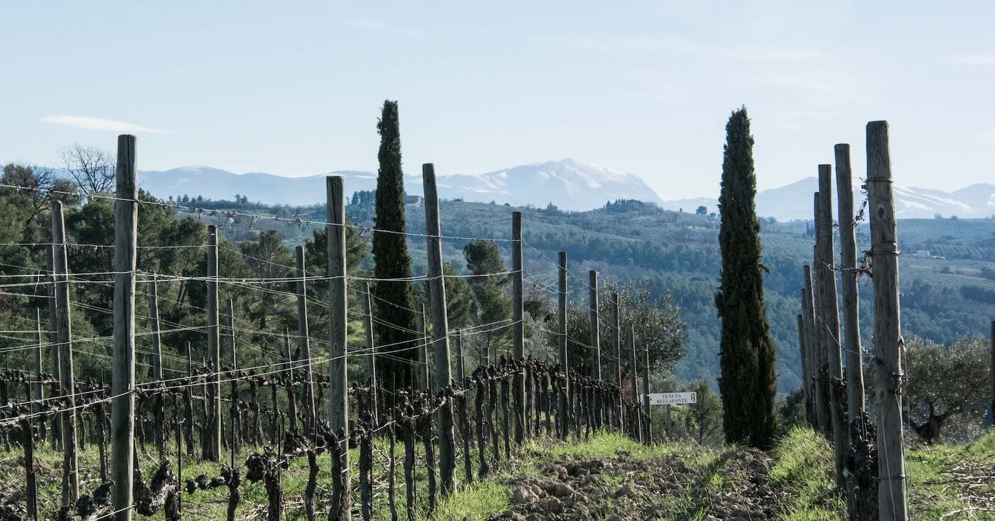 Tenuta Bellafonte