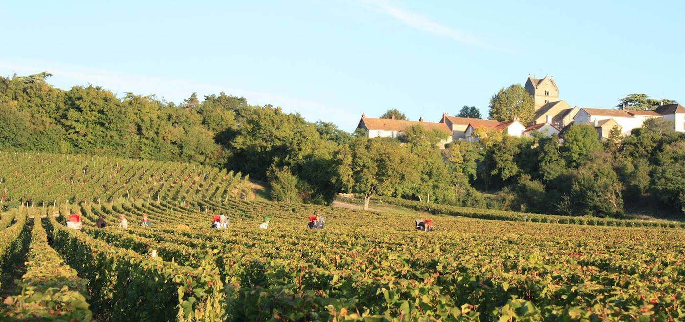 Domaine François Raquillet