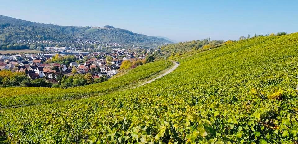 Weingut Jürgen Ellwanger