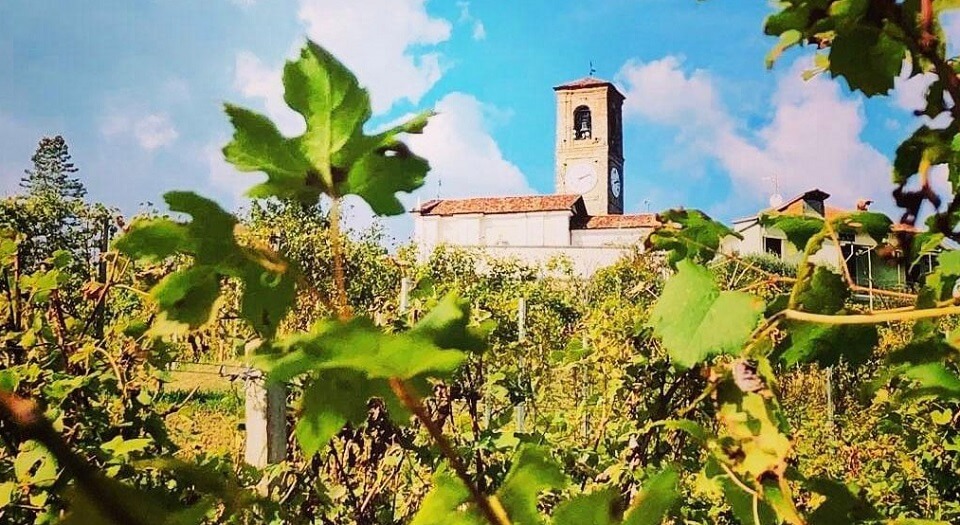 Azienda Vitivinicola Massimo Clerico