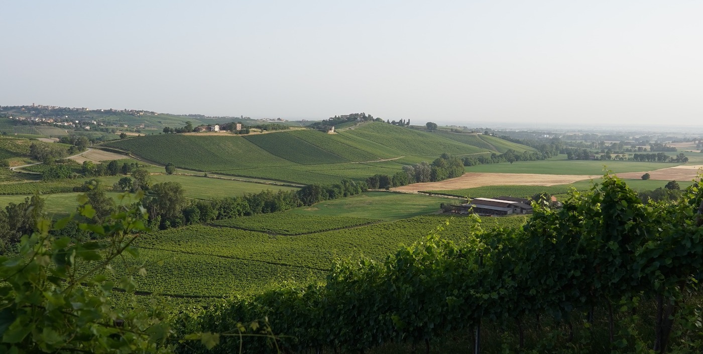 Cantina di Vicobarone