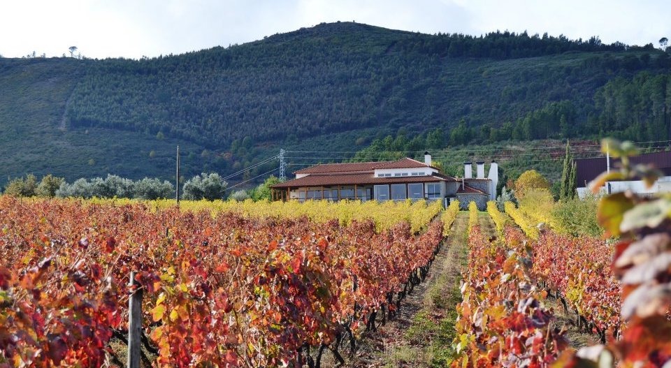 Quinta do Portal