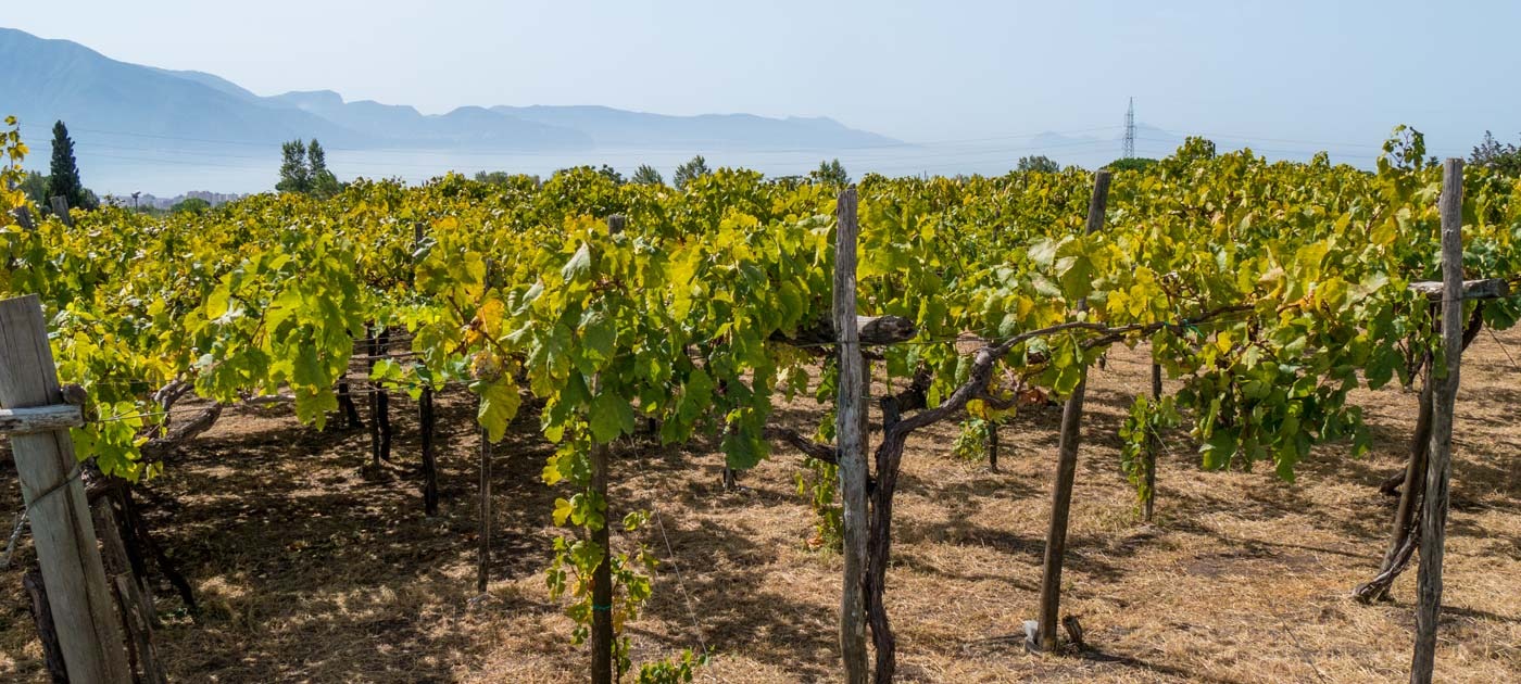 Cantina del Vesuvio