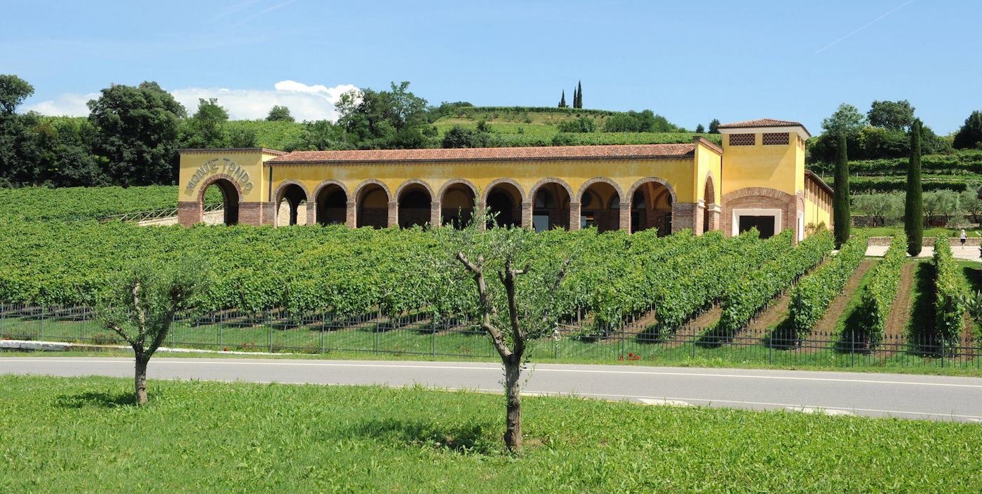 Azienda Agricola Monte Tondo