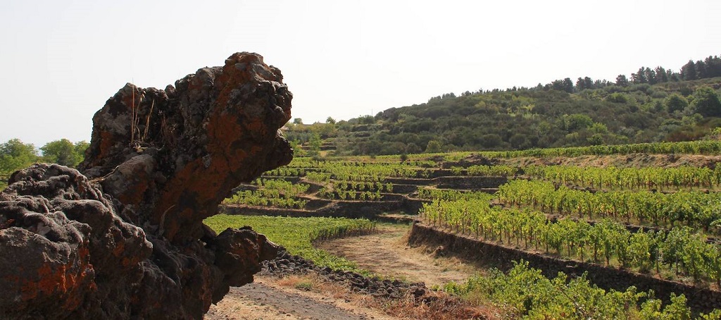 Tenuta di Passopisciaro