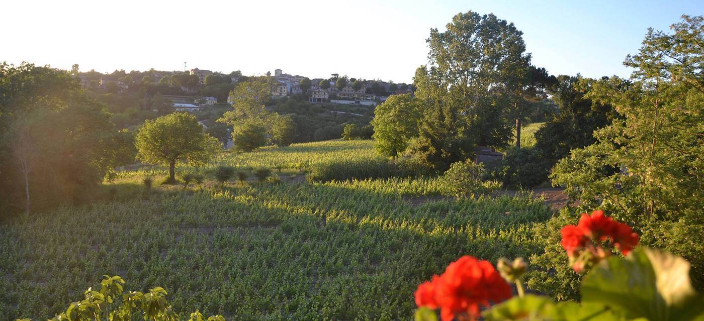 Azienda Agricola di Meo