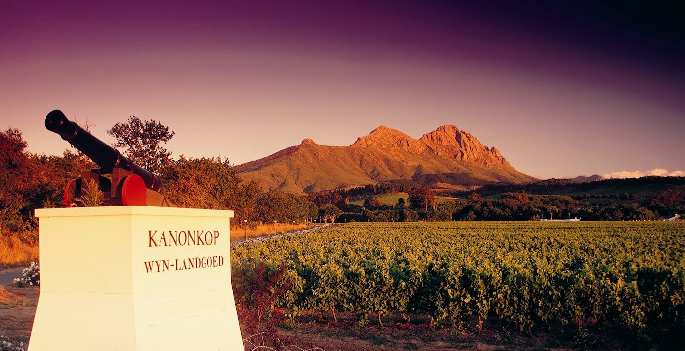 Kanonkop Wines