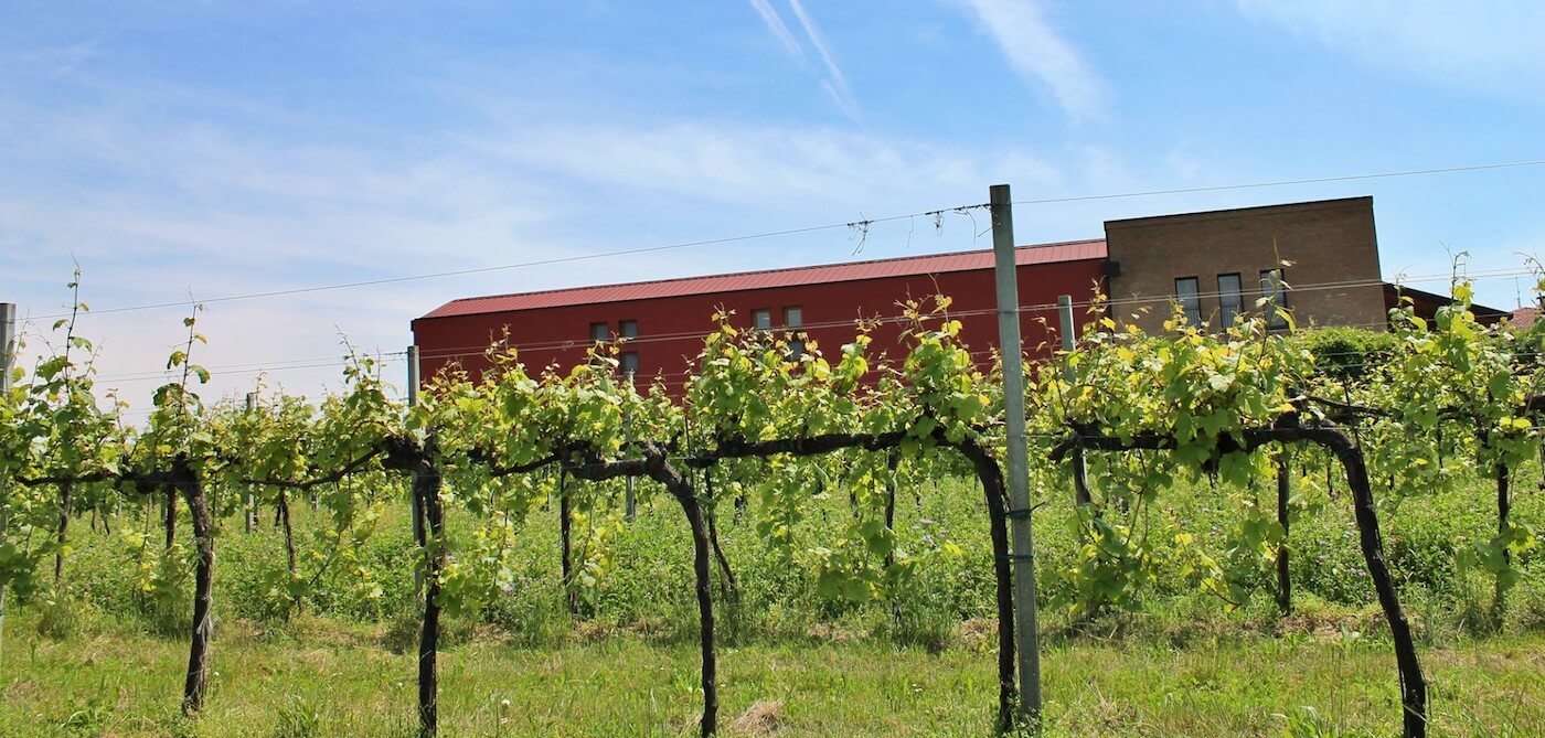 Azienda Agricola Le Carline