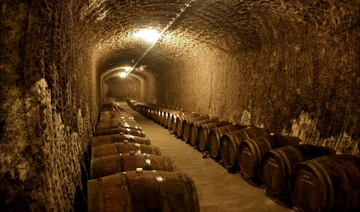 Thummerer Cellar