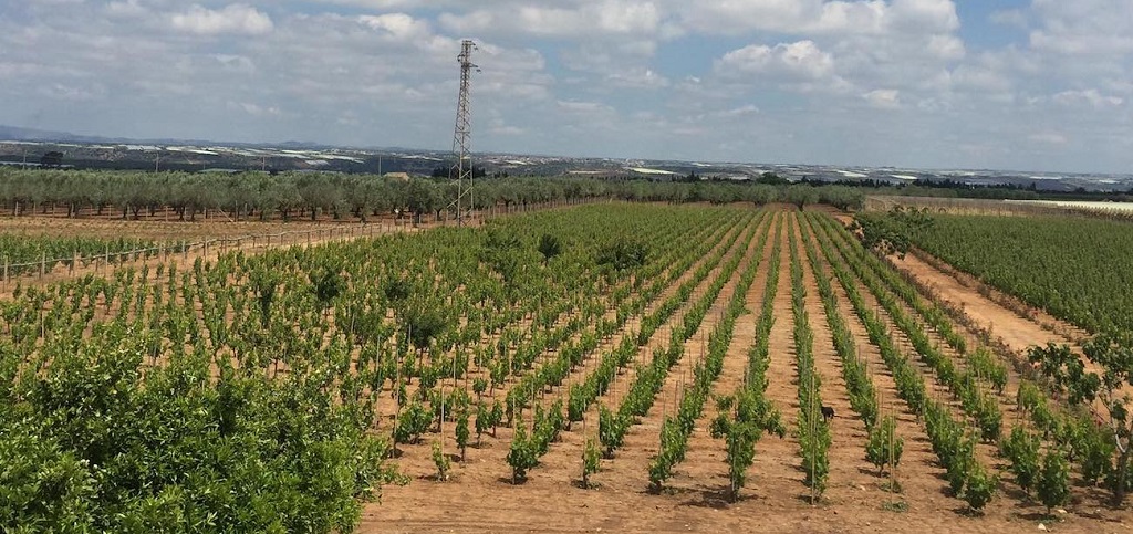 Tenuta Bastonaca