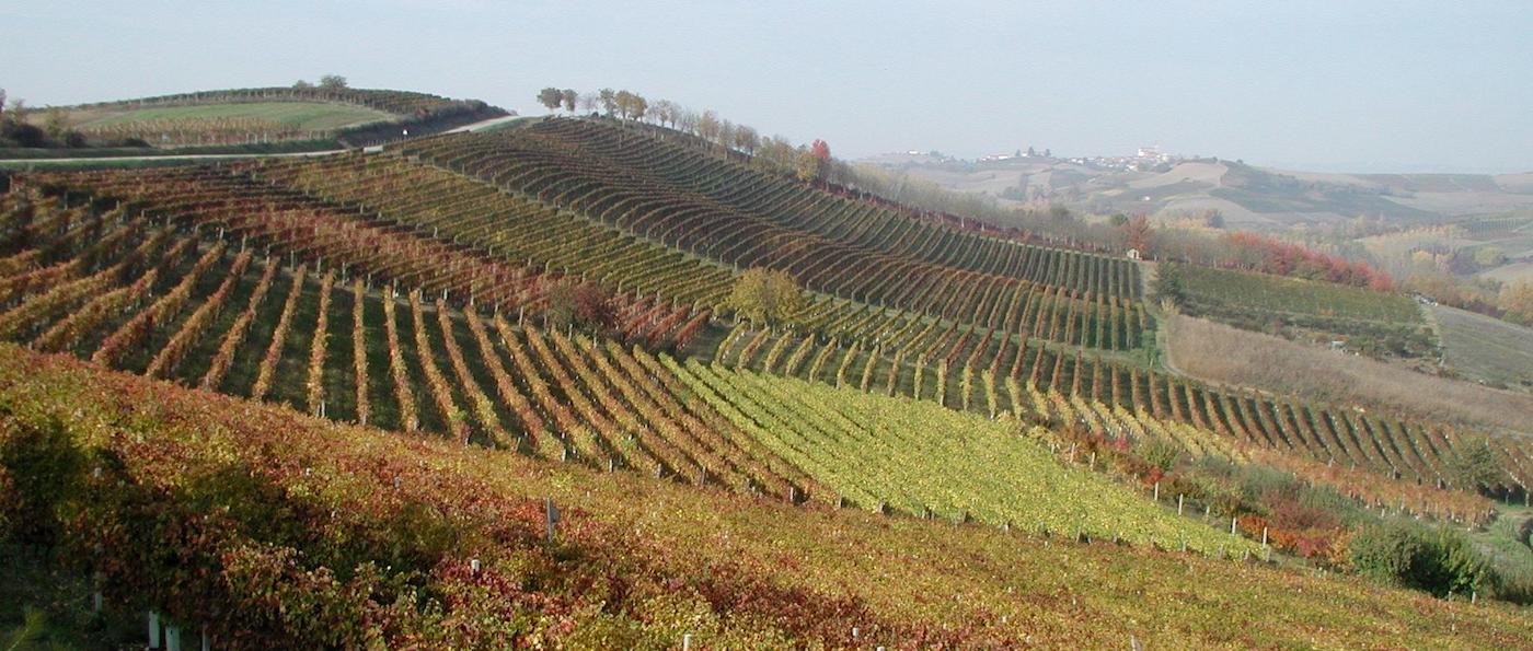 Azienda Agricola Massimo Marengo