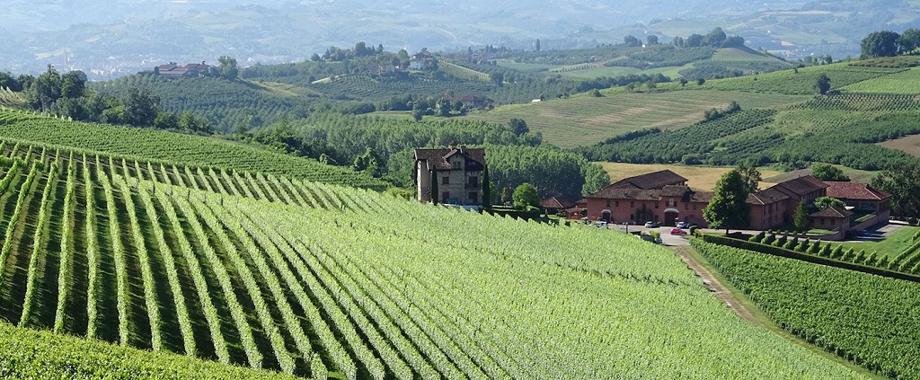 Tenuta Carretta