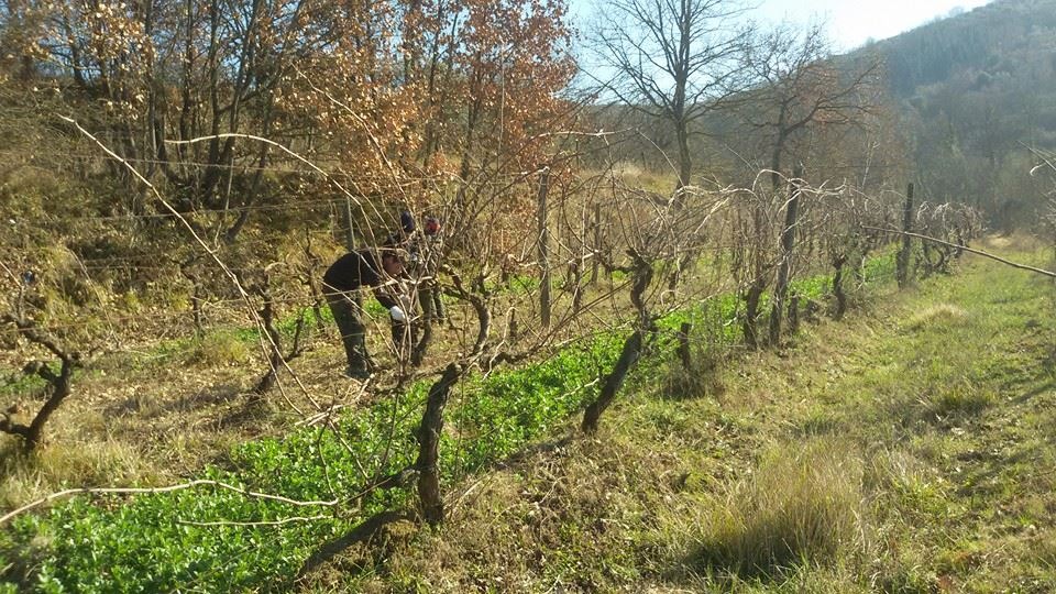 Fattoria Mani di Luna