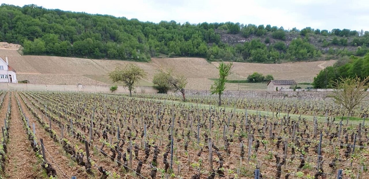 Domaine Jaeger Defaix