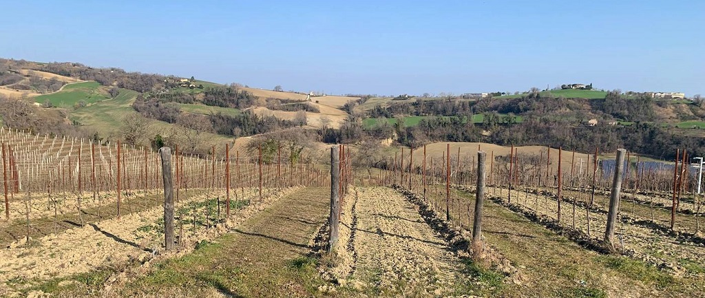 Azienda Agraria Fiorini