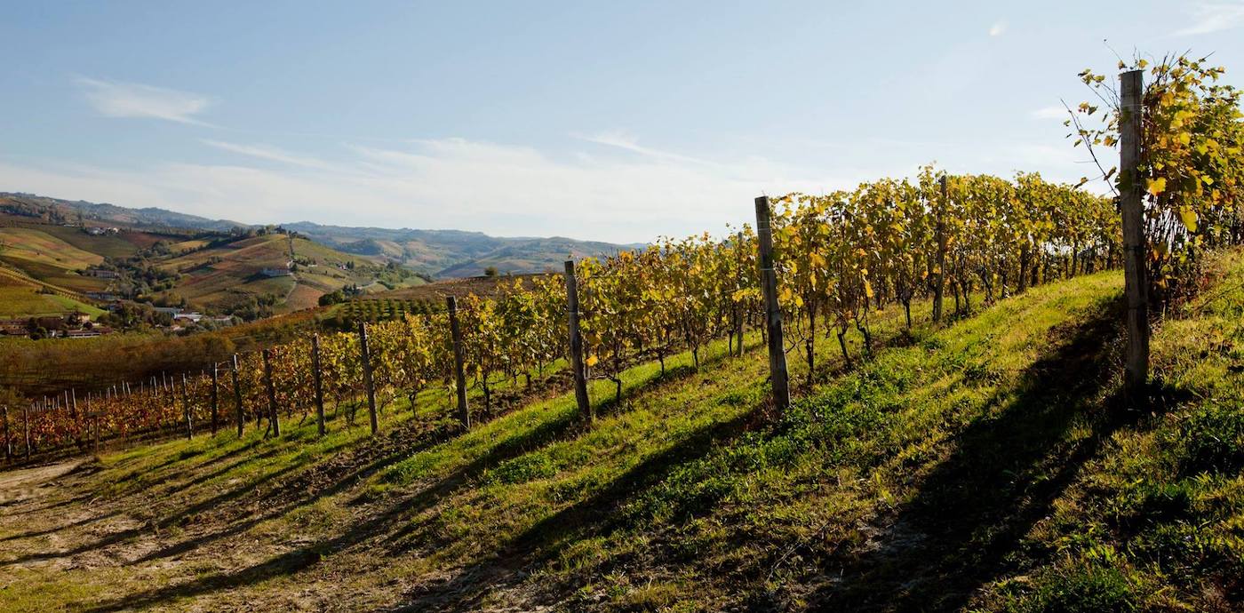 Azienda Agricola Eugenio Bocchino