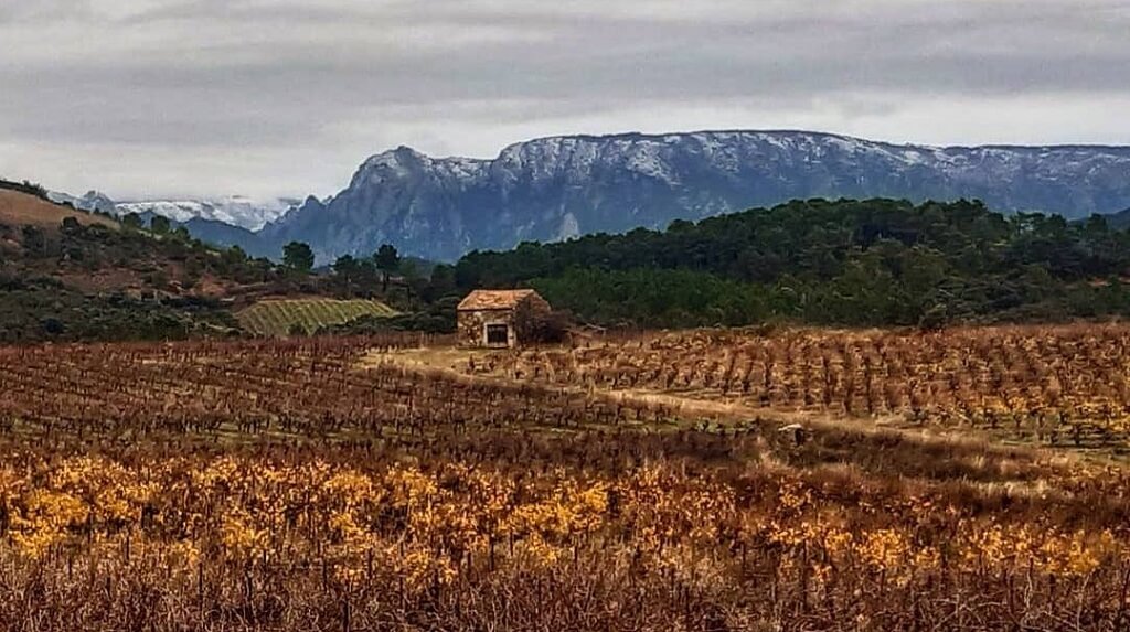 Domaine de Cambis