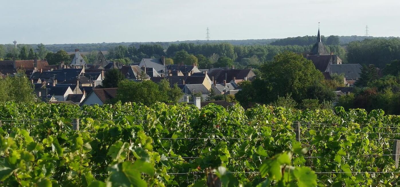 Domaine de Reuilly - Denis Jamain