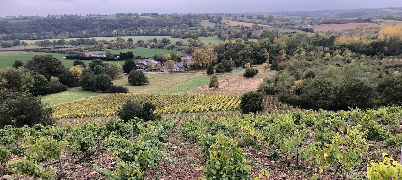 Domaine Patrick Baudouin