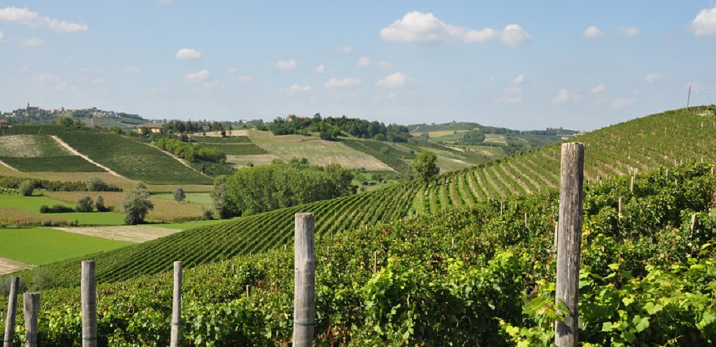 Tenuta La Meridiana