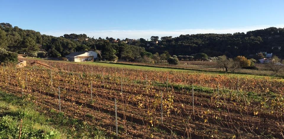 Domaine de Terrebrune