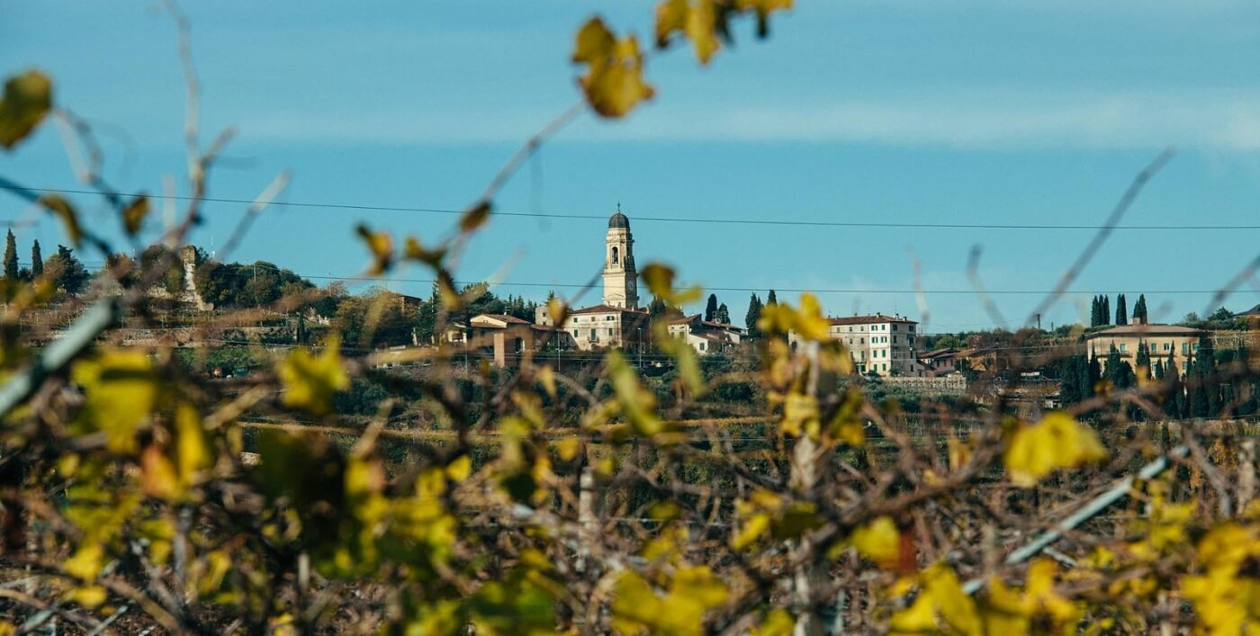 Cantine Buglioni