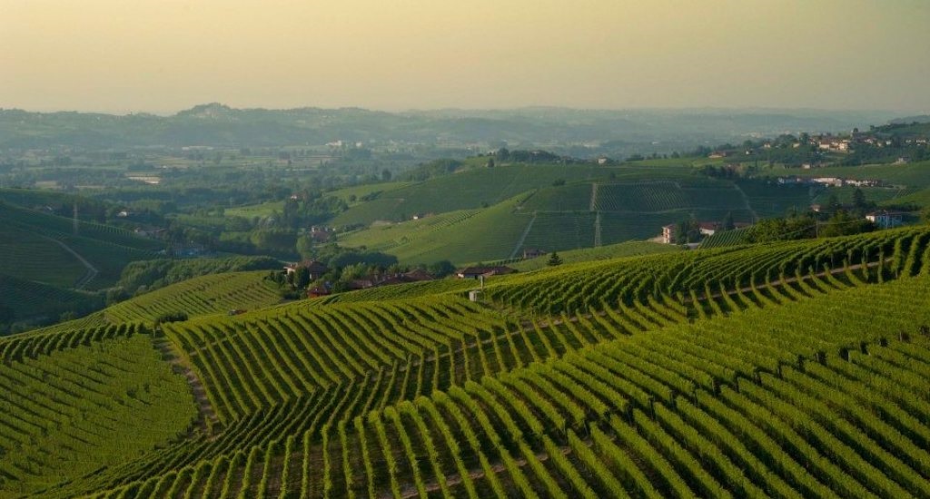 Azienda Agricola Sottimano