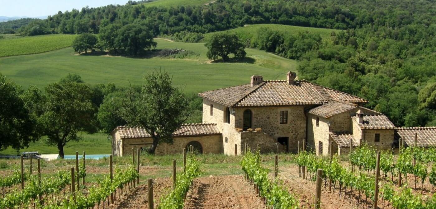 Tenuta di Renieri