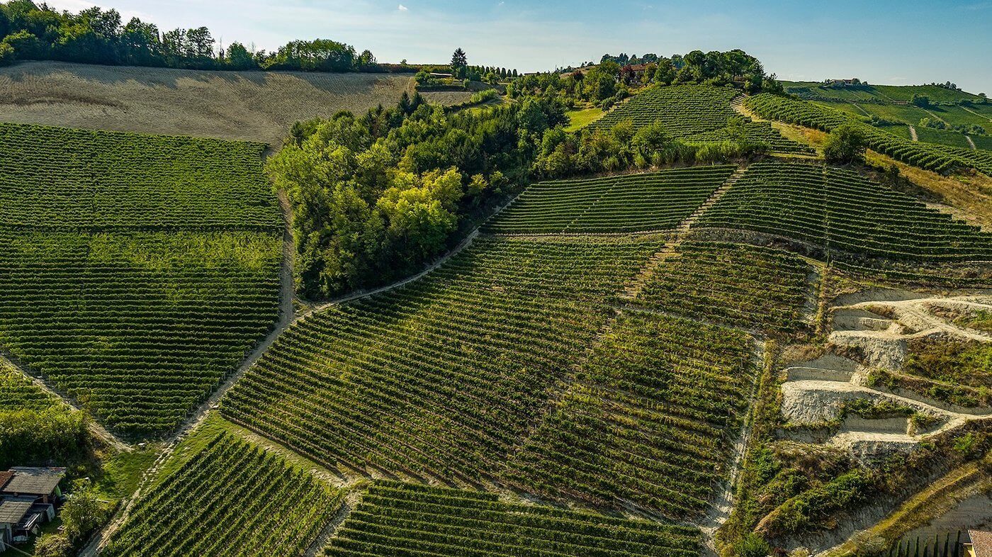 Azienda Vitivinicola Piazzo Comm. Armando