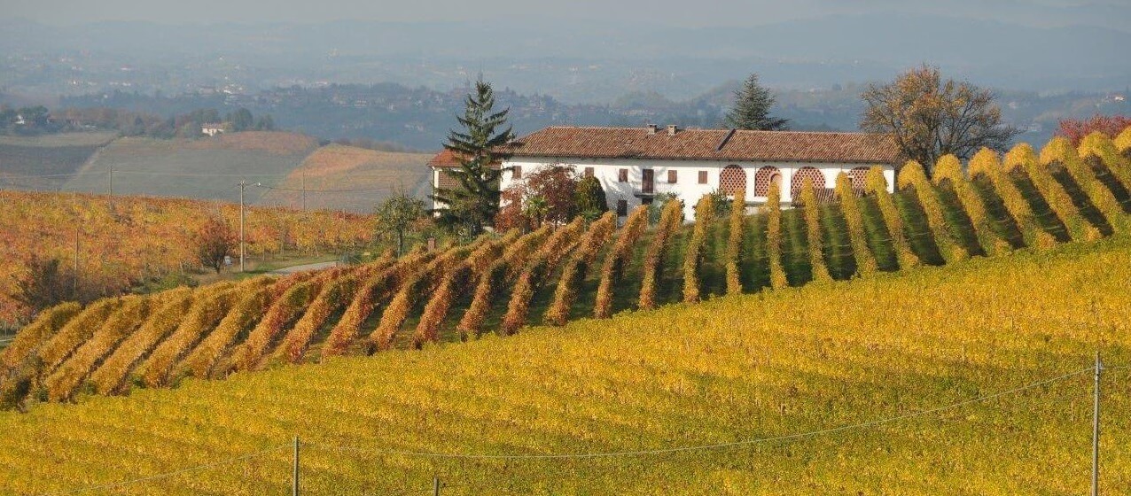 Vigne dei Mastri