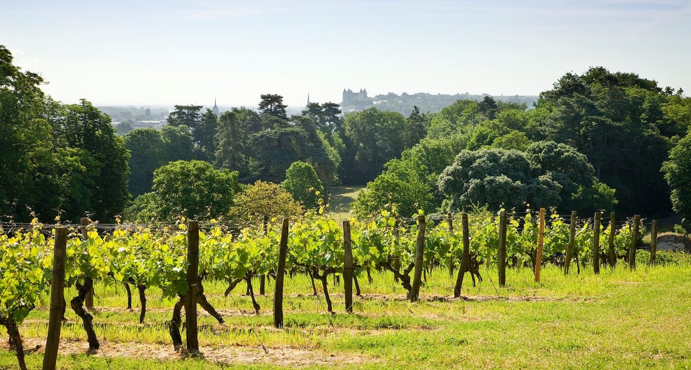 Domaine Langlois-Chateau