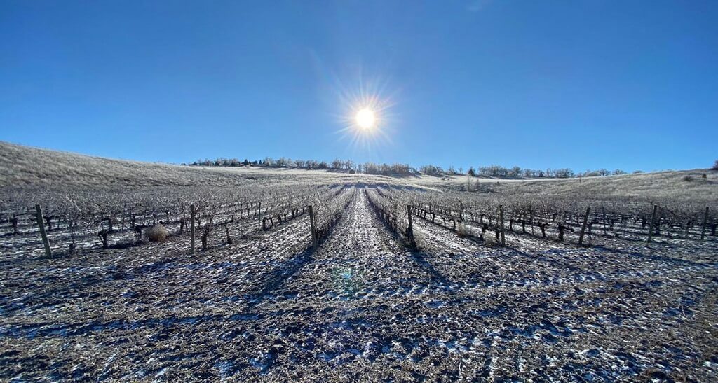 Bodegas Montebaco