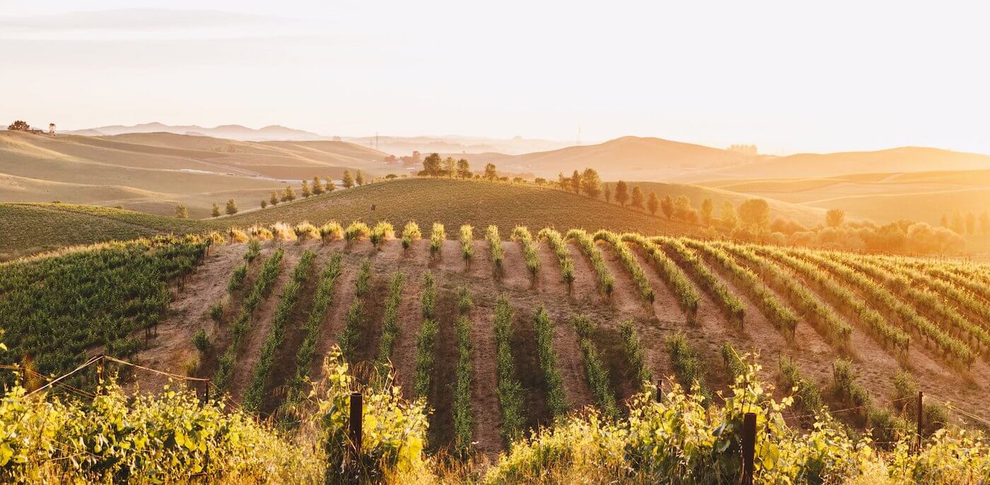 Cline Family Cellars