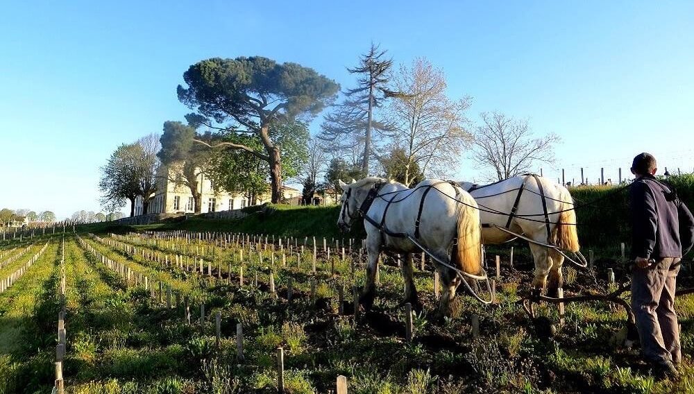 Château Tournefeuille