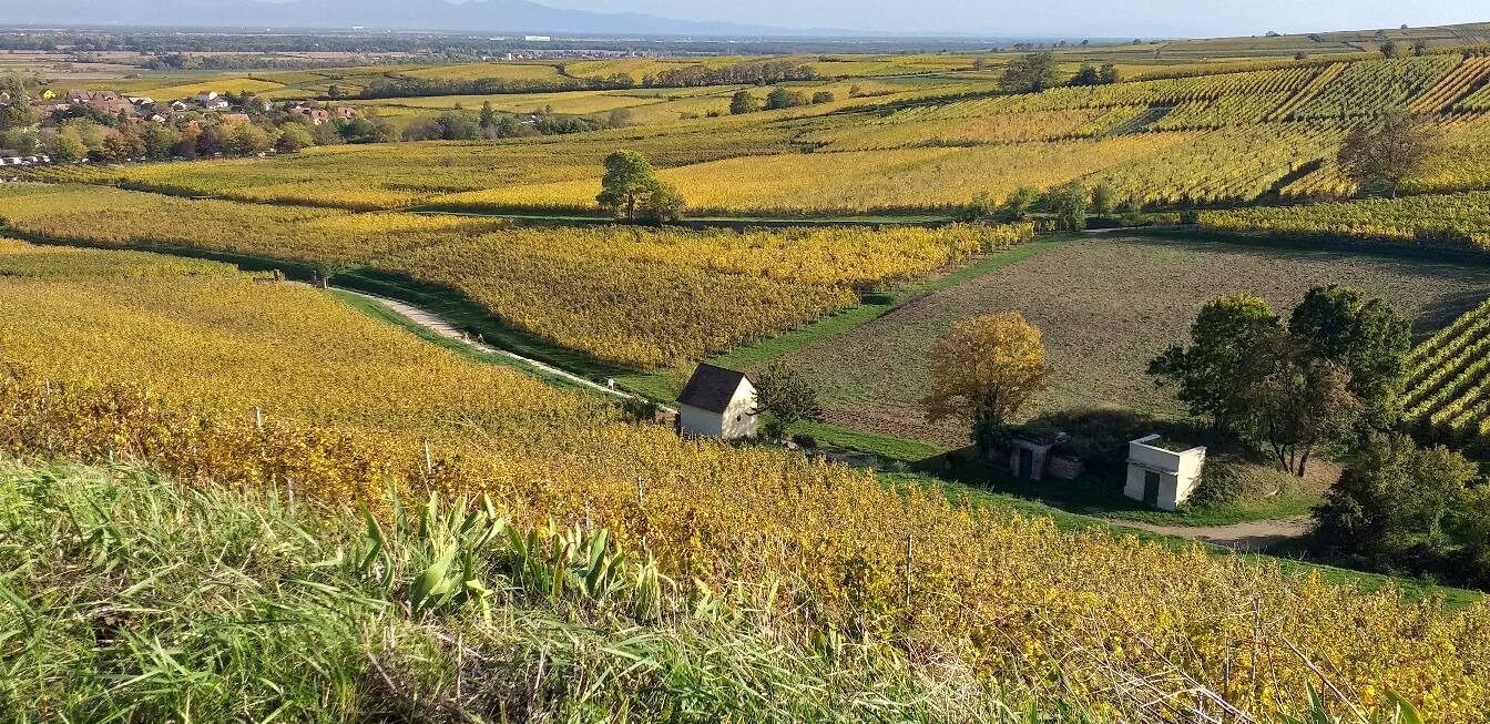 Domaine Emile Beyer