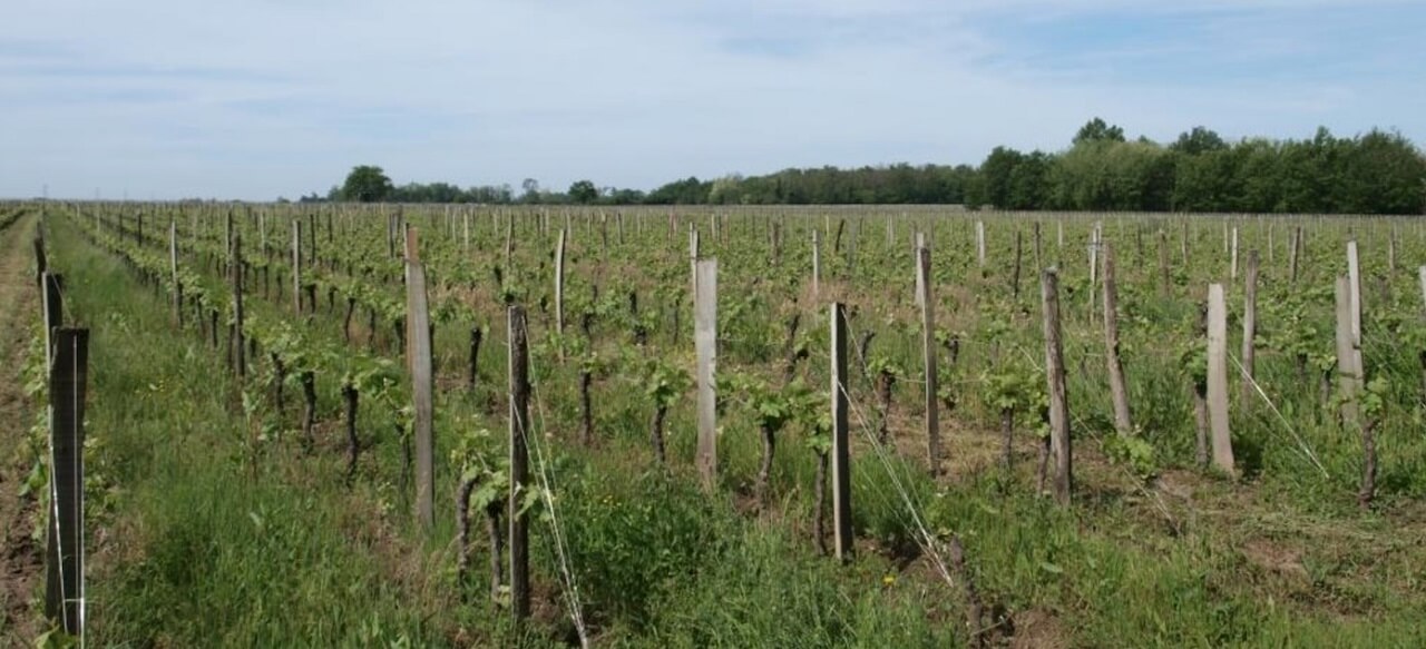 Clos des Tuileries