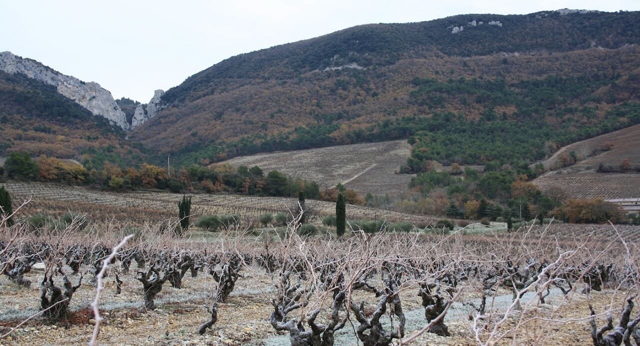 Domaine Pierre Amadieu