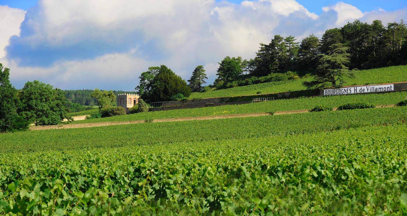 Domaine Henri de Villamont