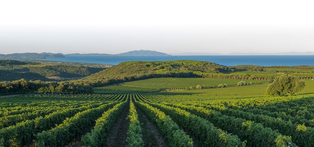 Tenuta Argentiera