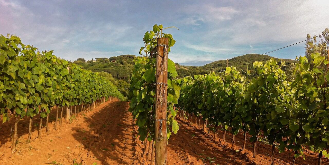 Tenuta Sant’Agata